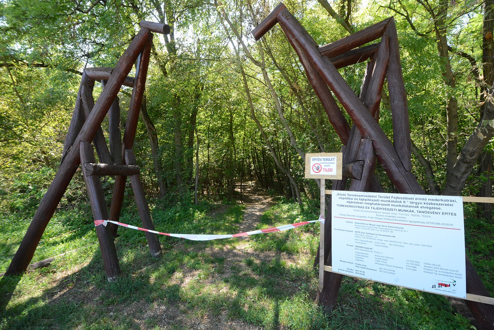 Mederkotrás a Sóstó Természetvédelmi Területen